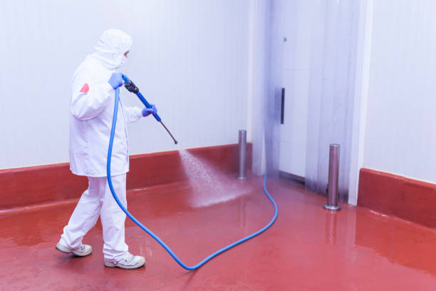 Best Pre-Holiday Cleaning  in Priest River, ID
